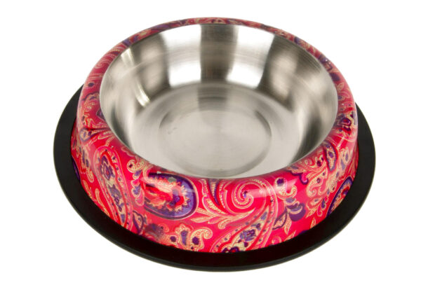 b94bd5ce4fa6a55f2e584dc8888d