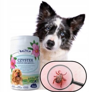 cba005db42ec8a11db810fb8afc8 cba005db42ec8a11db810fb8afc8