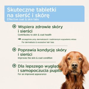 4db552b04a31a2c4a2c0e6db99e2 4db552b04a31a2c4a2c0e6db99e2