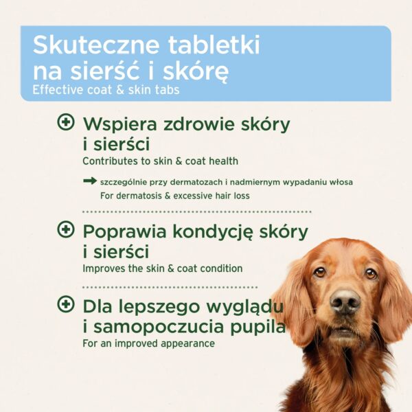 4db552b04a31a2c4a2c0e6db99e2 4db552b04a31a2c4a2c0e6db99e2