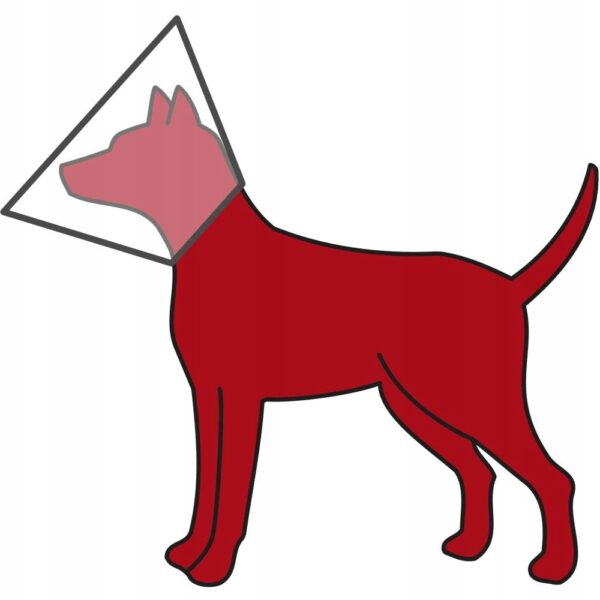 55ac1e5c4eefbac21c1a609e4136 55ac1e5c4eefbac21c1a609e4136